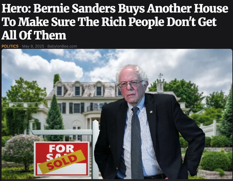 Bernie.webp