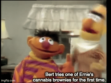Bert.gif
