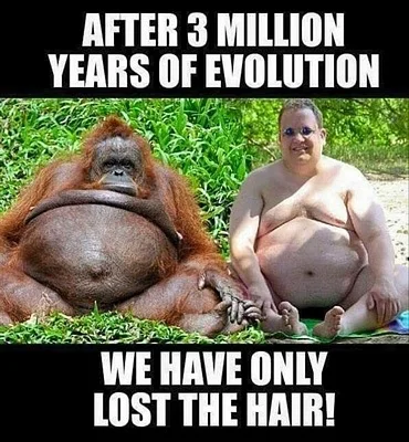 best-random-memes-volume-page-1468332798c8l4p.webp