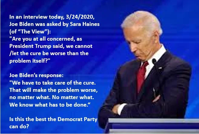biden view.webp