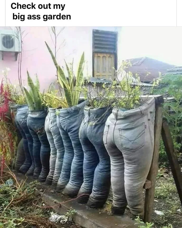 big ass.webp