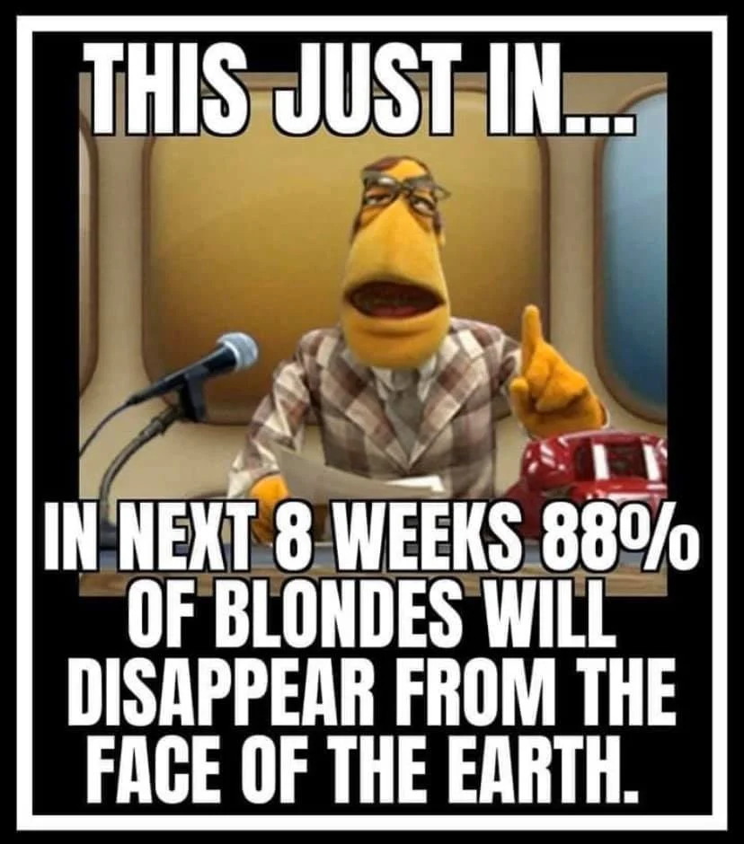 blonds.webp