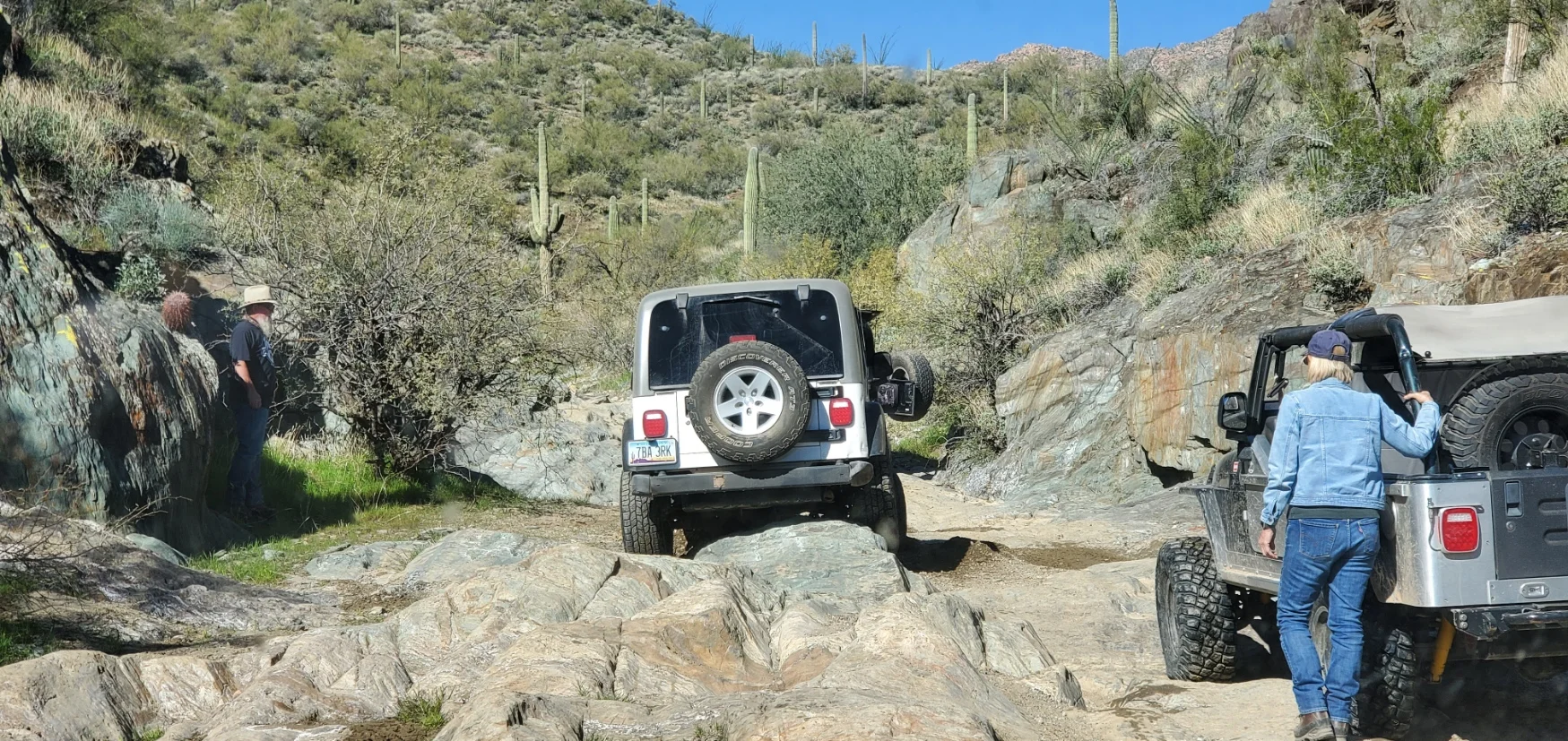 bobsbigadventure002.webp