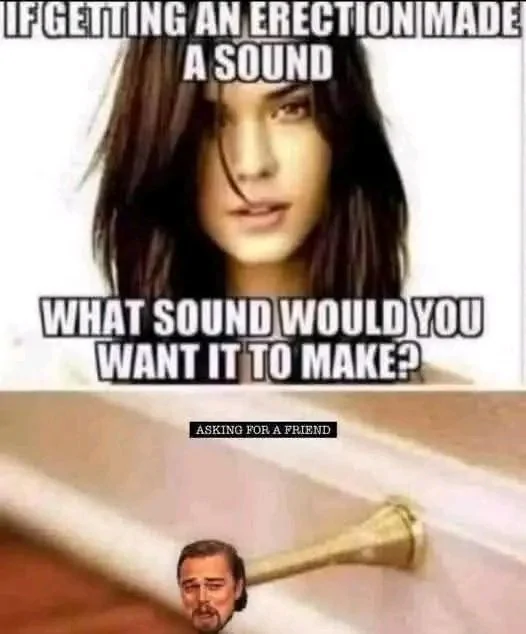 Boner Sound.webp