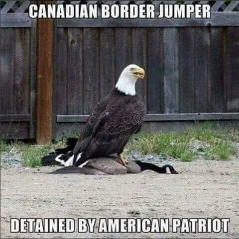 border.webp