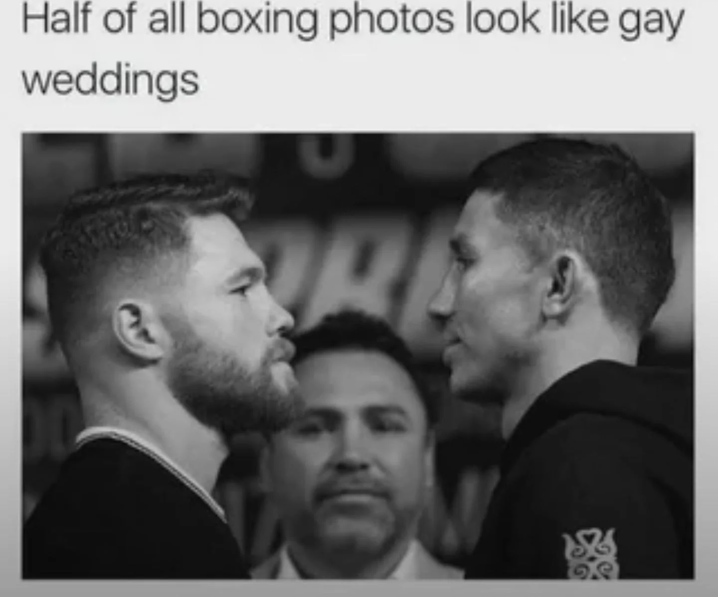 Boxing Photos.webp
