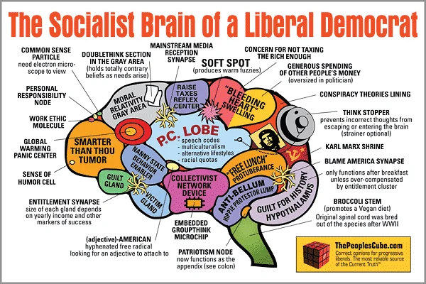 Brain_Socialist_Democrat.webp