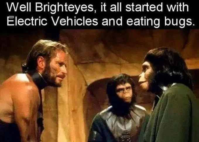 Bright Eyes.webp