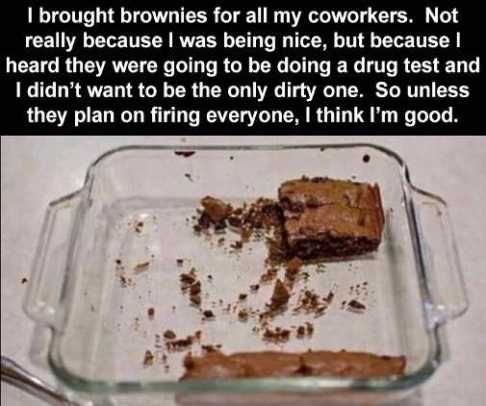 brought-brownies-coworkers-drug-testing-unless-plan-on-firing-everyone.jpg