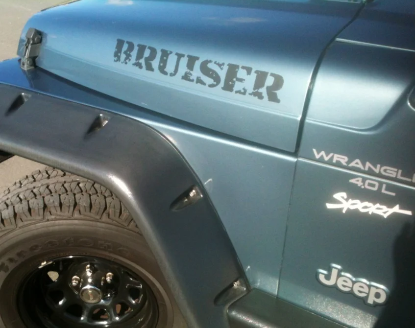 bruiser.webp