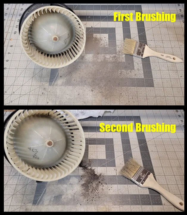 Brushing_Progress.webp