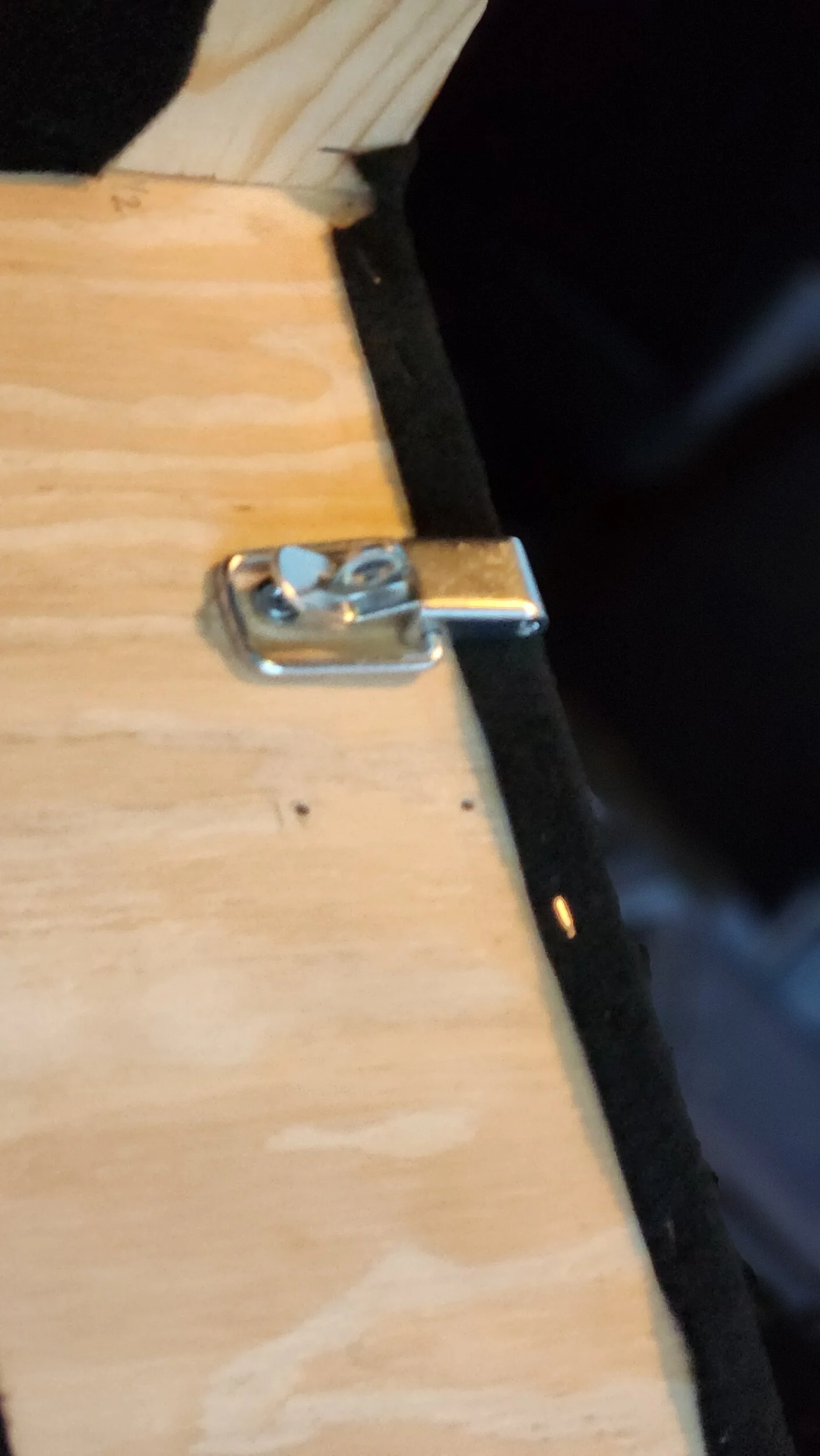 buckle.jpg