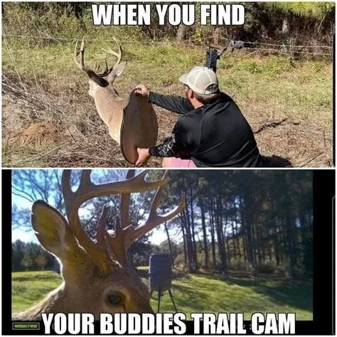 buddys trail cam.webp