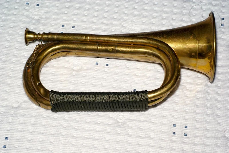bugle1.webp