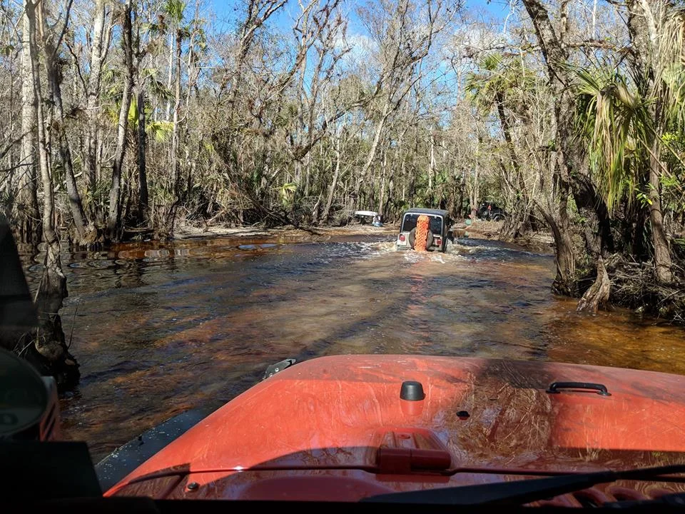 Bull Creek crossing.webp