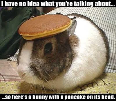 Bunny with Pancake.jpg