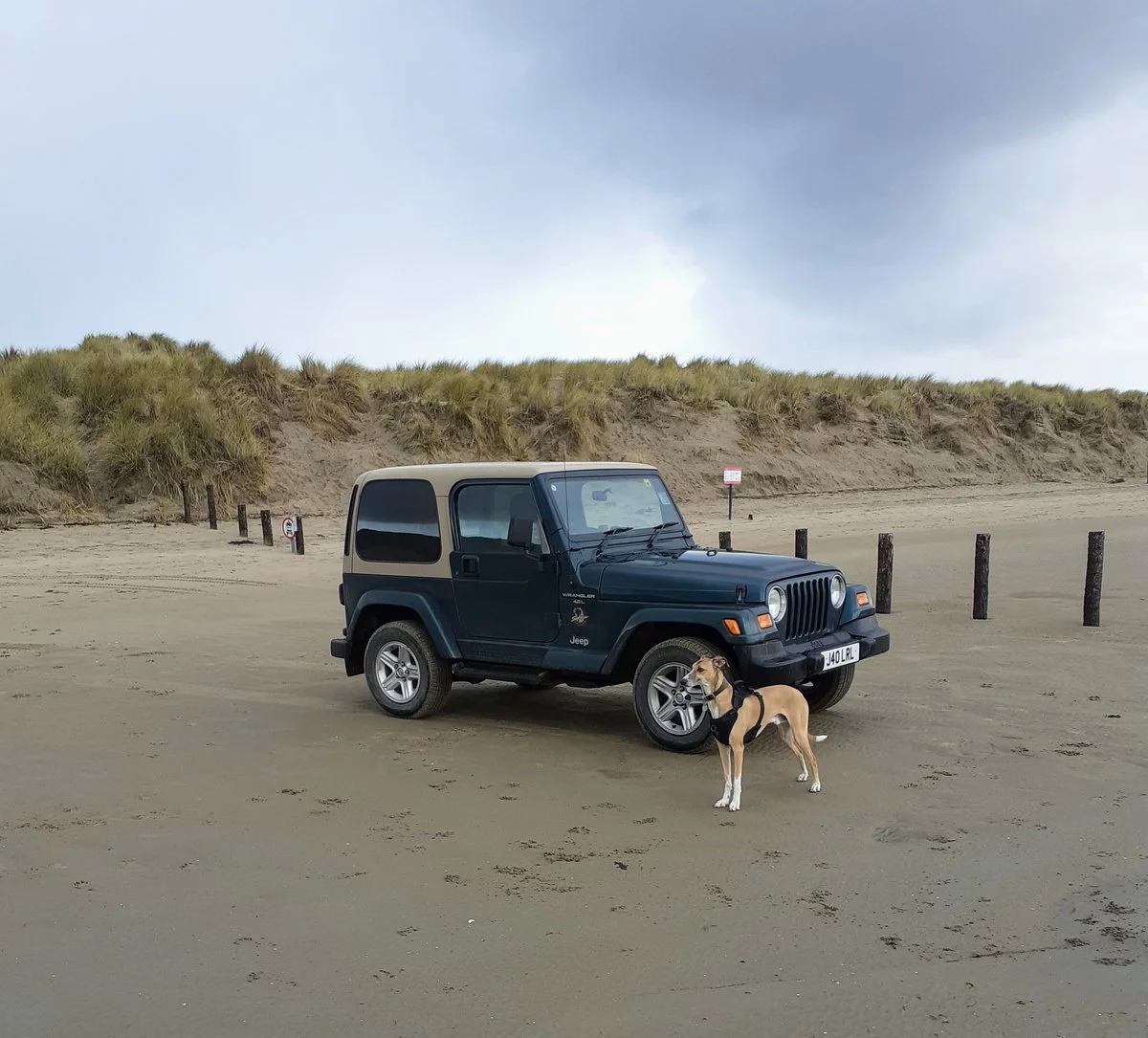 Buzz and Jeep.webp