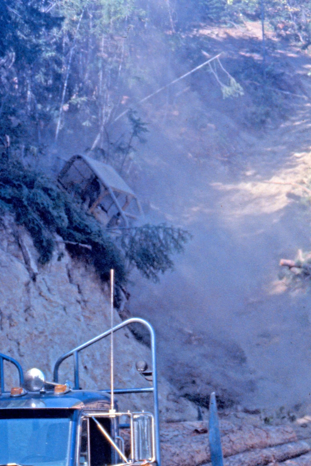 CA Skid trail.webp