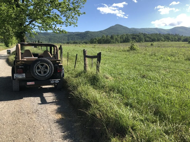 cadescove101.webp