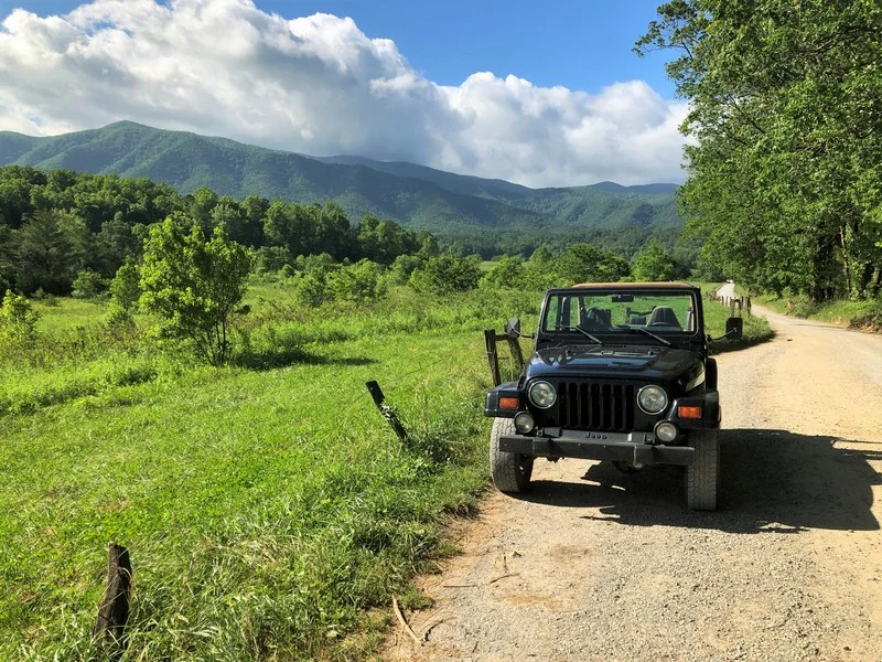 cadescove201.webp