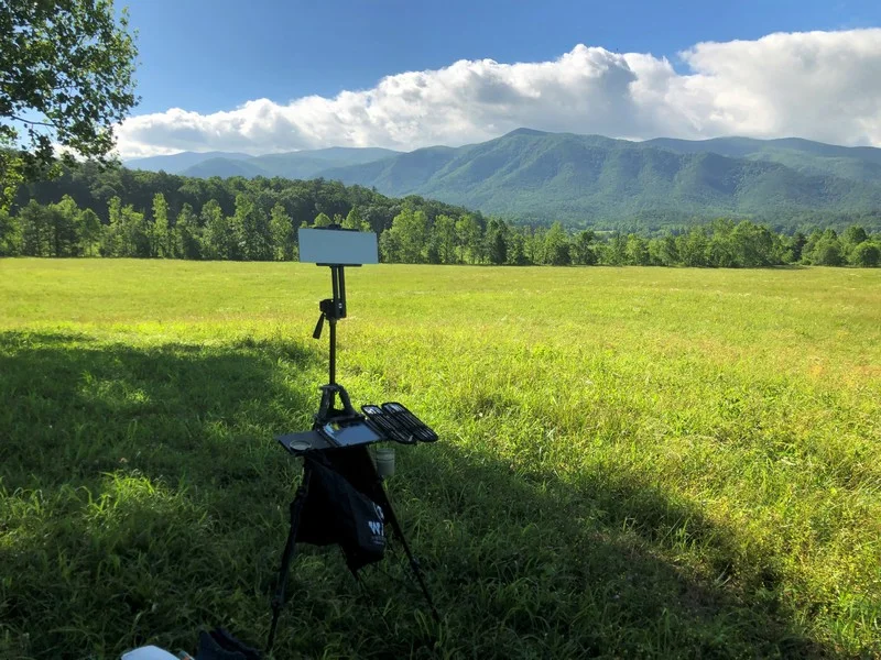 cadescove501.webp