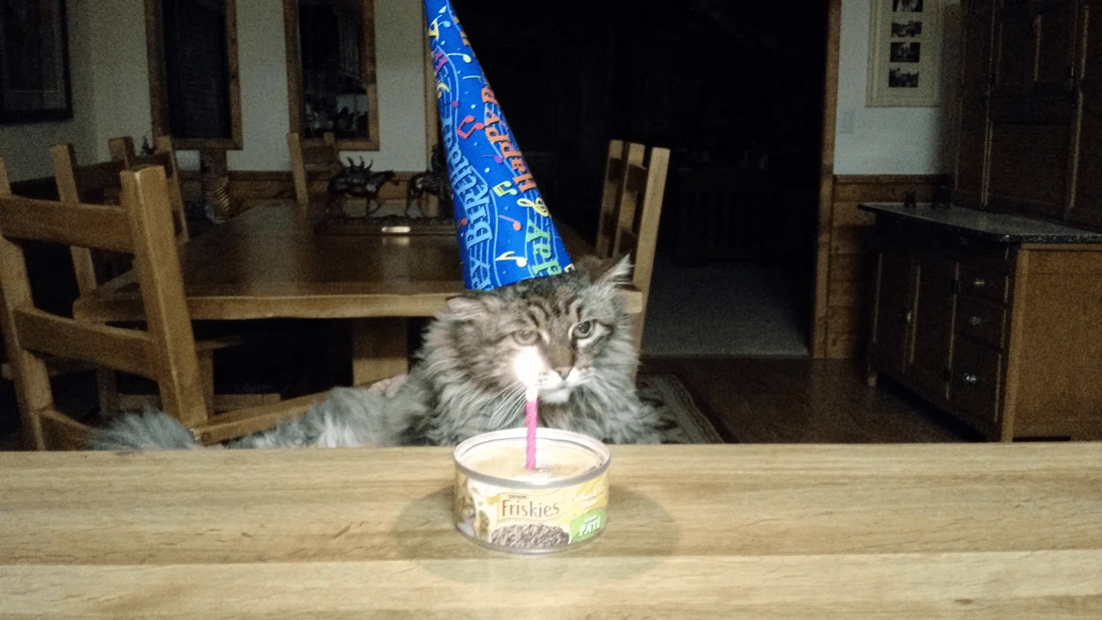 Cali's Birthday.webp