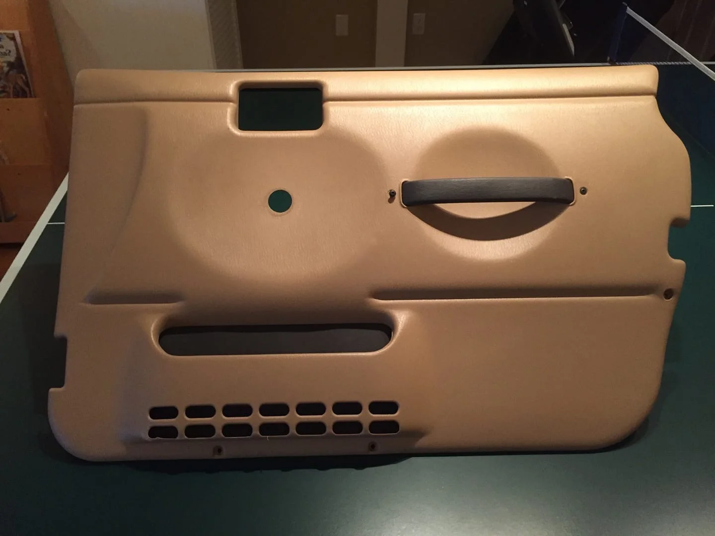 Camel panel.webp