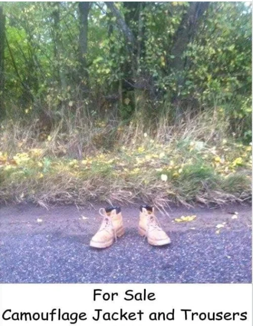camo.webp