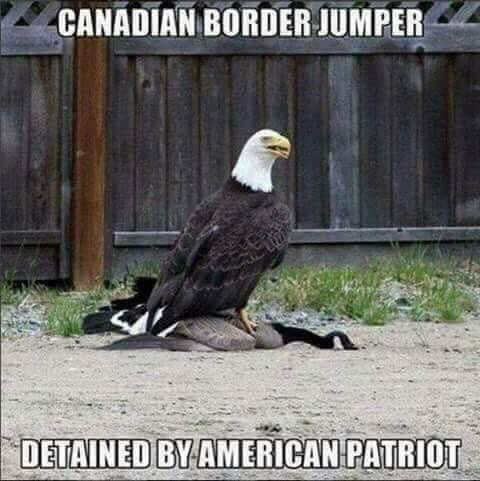 canadian-border-jumper-stopped-by-american-patriot-eagle.jpg