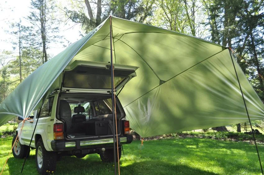 Canopy 2.jpg