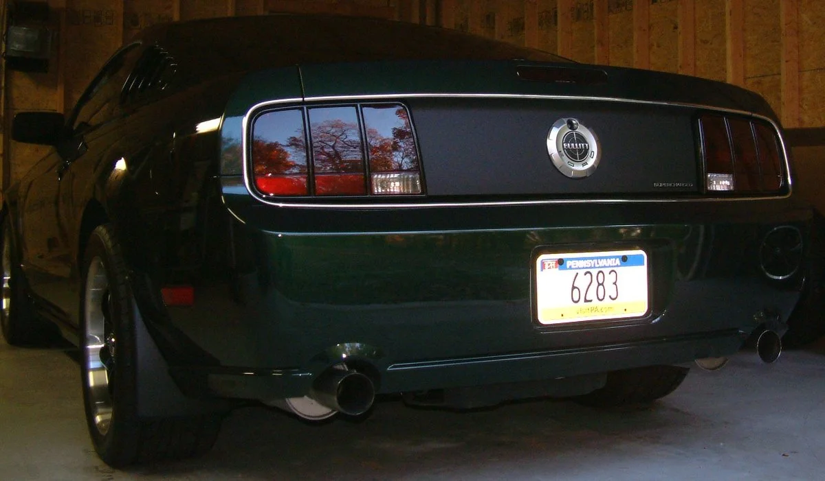 carass 10-28-2010.webp
