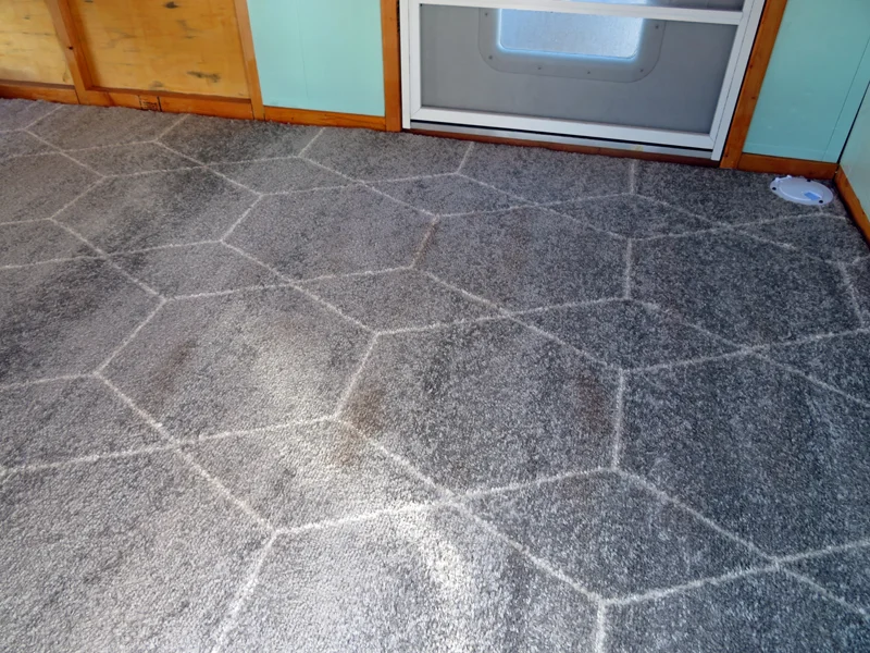 Carpeting.webp