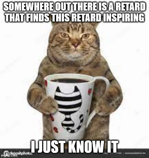cat 2.webp