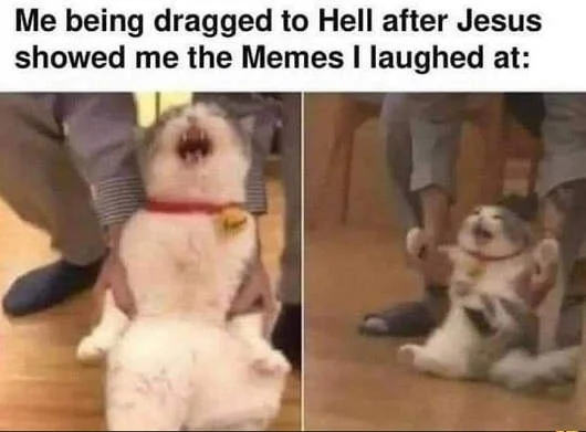 cat dragged to hell devil memes laughed at