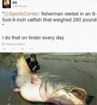 Catfish.webp