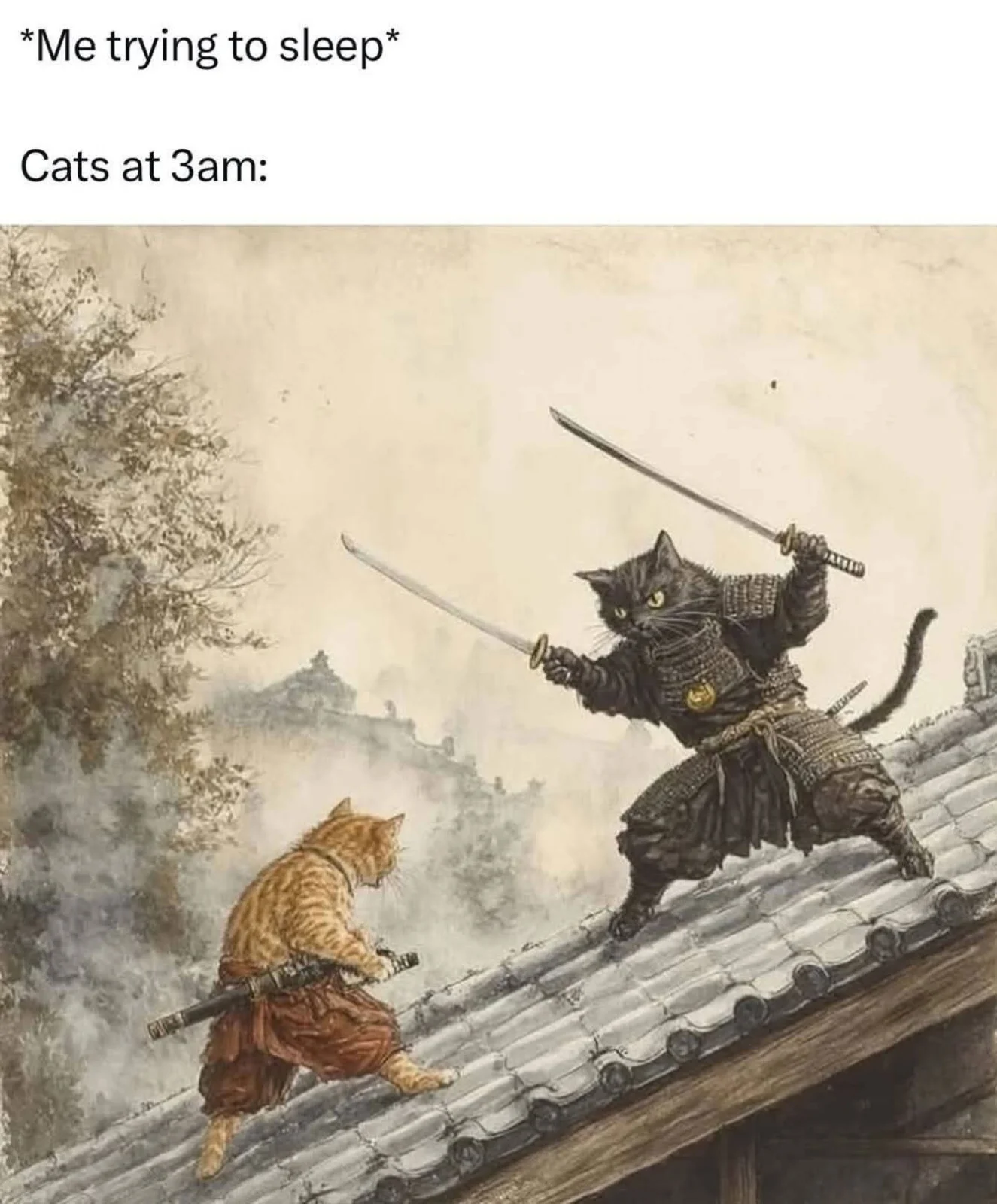 Cats 3AM.webp