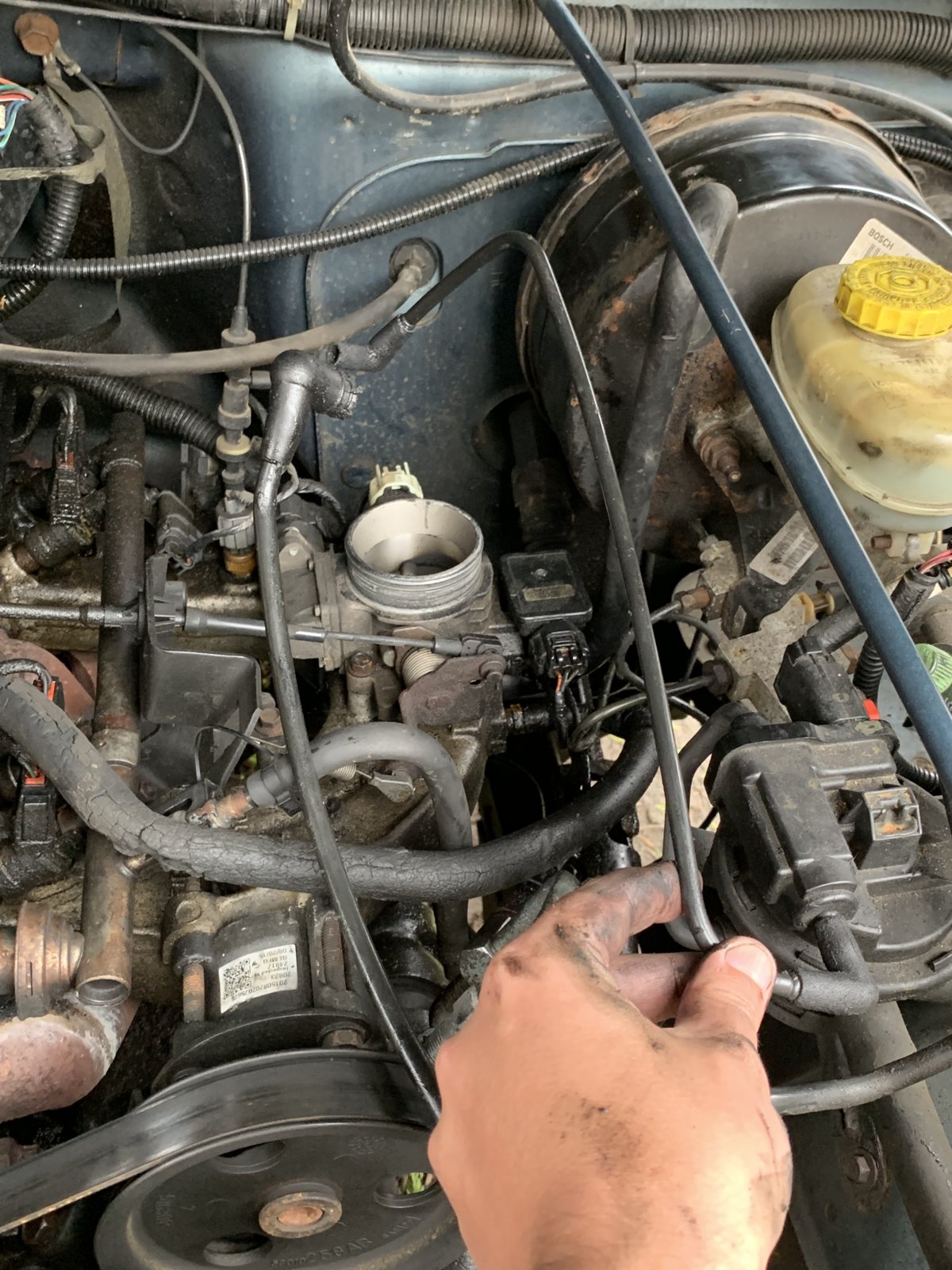 Where do these vacuum lines go on my 2.5? | Jeep Wrangler TJ Forum