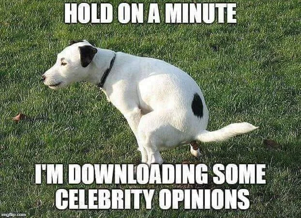 celeb.webp