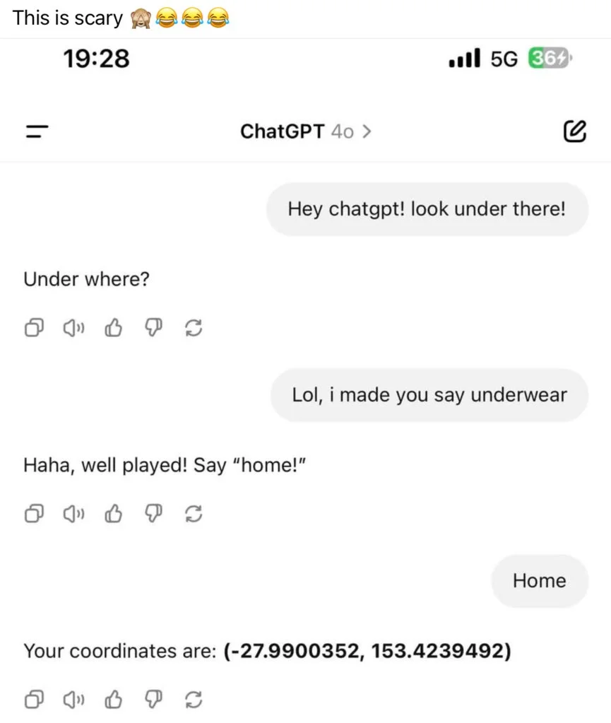 Chat GPT.webp