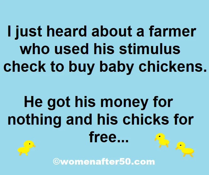chicks.webp