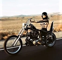 chopper.webp
