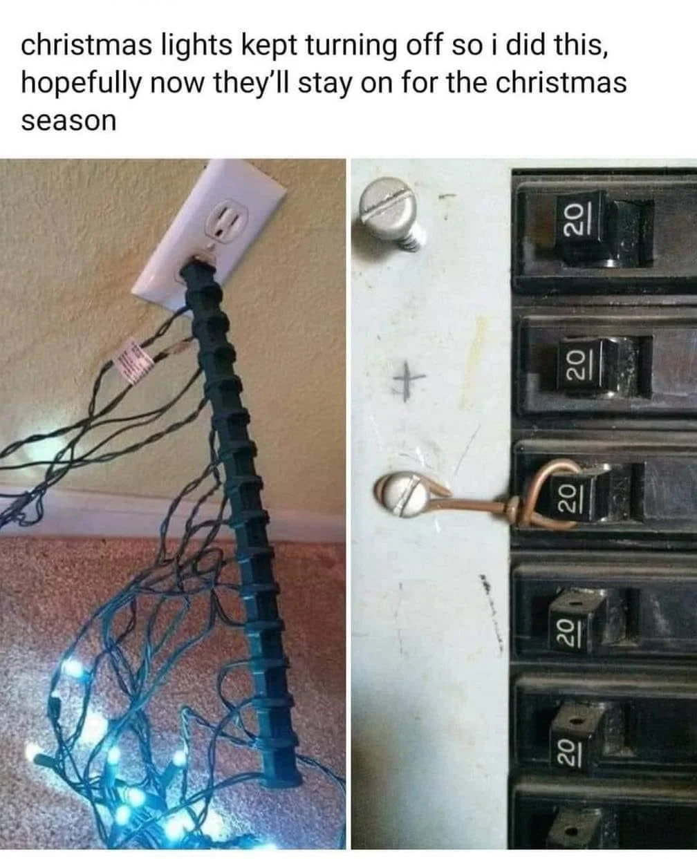 ChristmasLights.webp