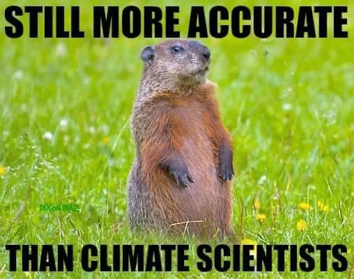 climate.webp
