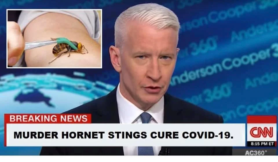 cnn.webp