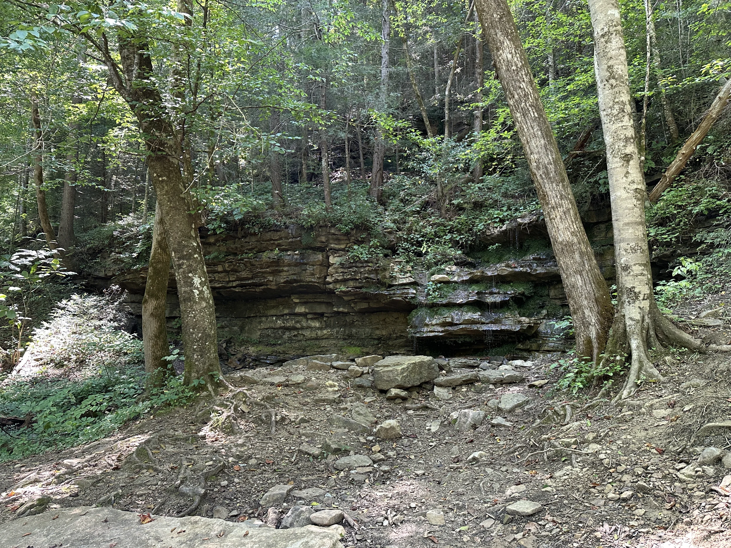 Coalmont (26).webp