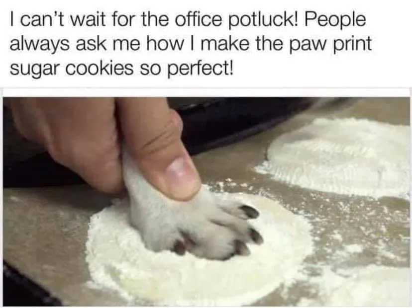 cookies.webp