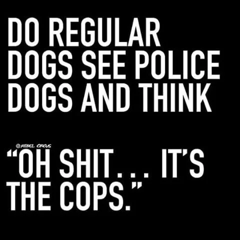 cops.webp
