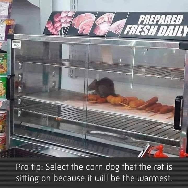 Corn Dog.jpg