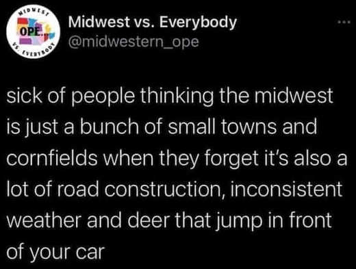 cornfields-construction-deer-jump-in-front-of-cars.jpg