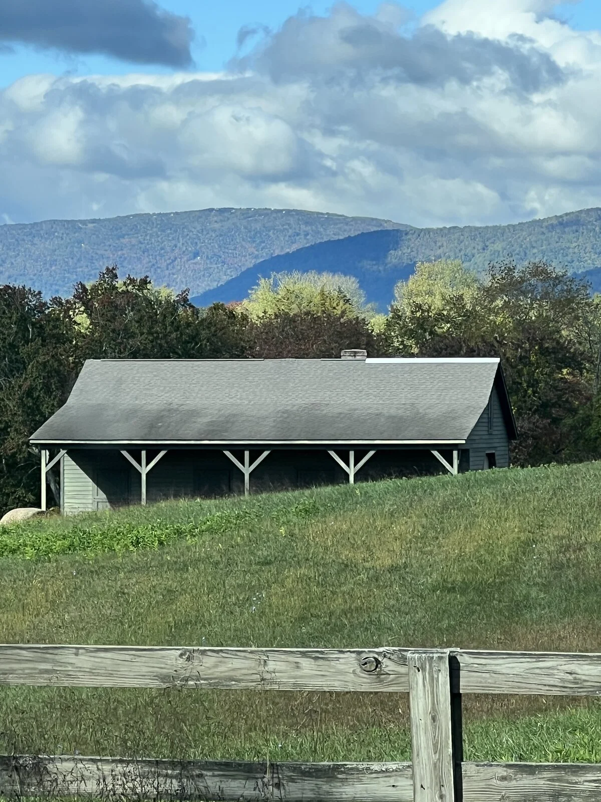 country drive.webp